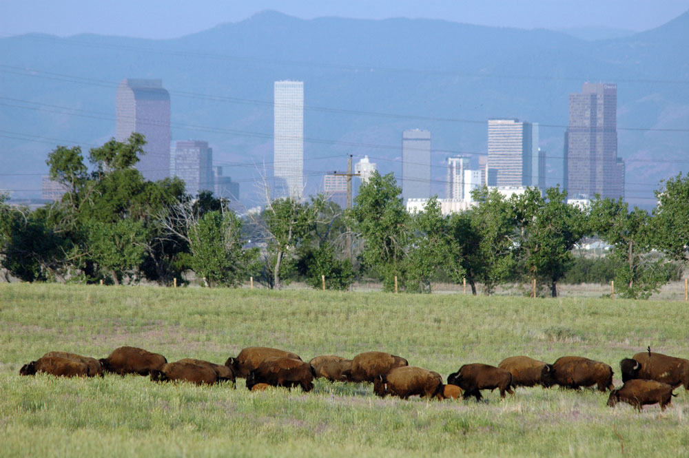 Denver Wildlife Refuge