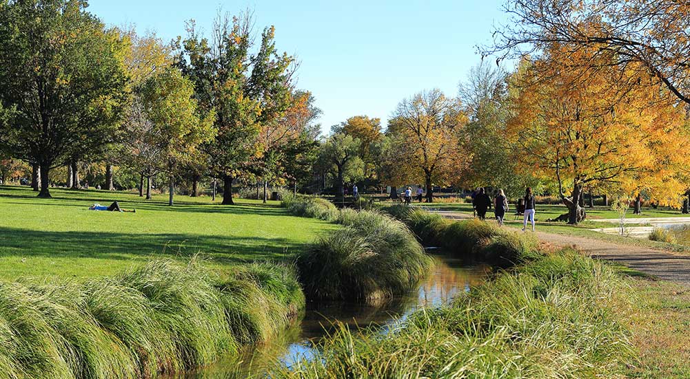 Washington Park path next to creek in the fall.